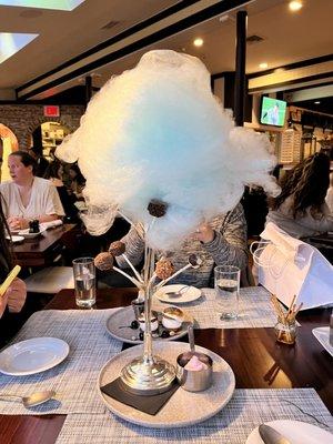 The cheesecake pop tree. Yes. That's cotton candy!