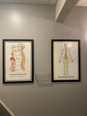 Countryside Chiropractic