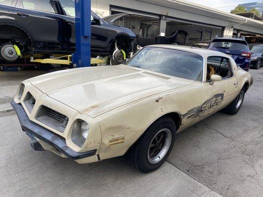 1975 PONTIAC Firebird