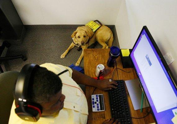 support staff with guide dog