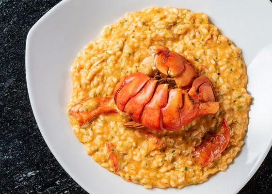 Maine Lobster Risotto - Maine Lobster, Carnaroli Risotto, Parmigiano Reggiano