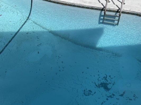 These are photos of our pool spread out between months of service showing how they never cleaned the filter sand out of the pool.