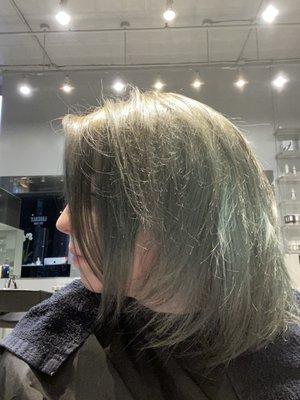 This was the green and grey that was "dirty blonde" to her