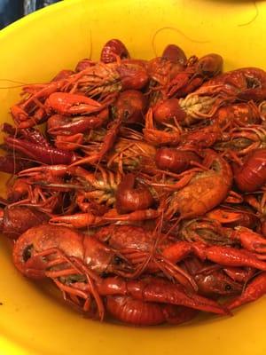 Crawfish