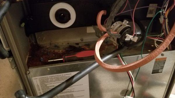 leaking Collector Box improperly installed by Service Experts