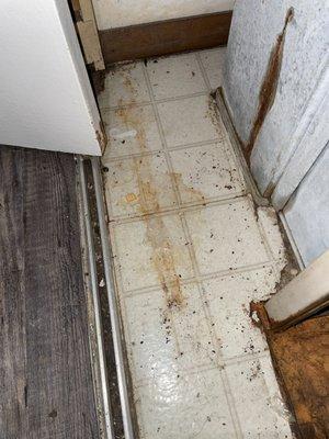 Did not replace this flooring, rust, stains, and damaged flooring