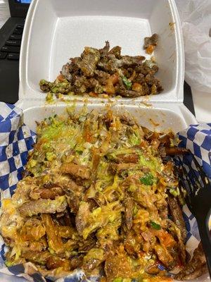 Half order of carne asada fries