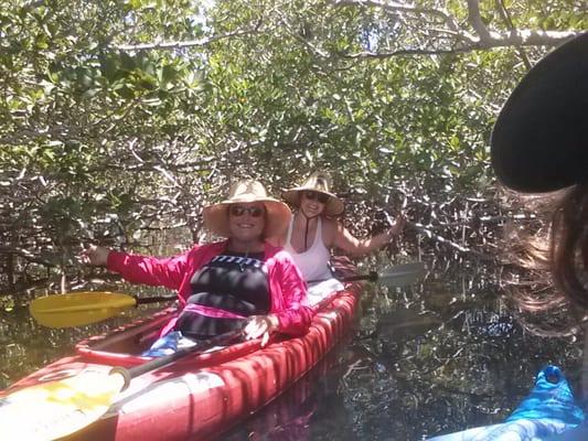 Through the mangrove tunnels