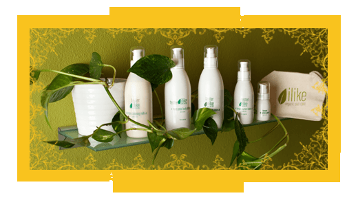 ilike Organic skin care products: EcoCert Organic Certification from Hungary and BDIH Certified Natural Cosmetics Certificatio