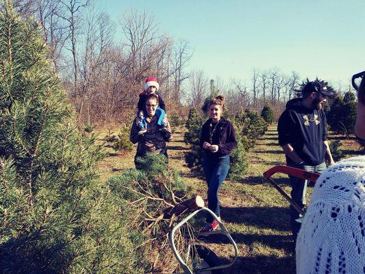 First time here this year!  Our Christmas tree farmers for the last four years retired.