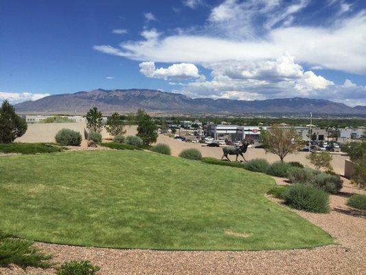 Summertime View of the Sandias - can you find our pet rabbit? :)