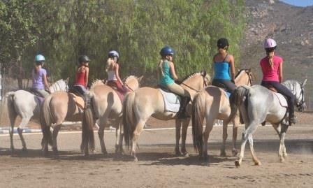 group lesson preparing for a quadrille