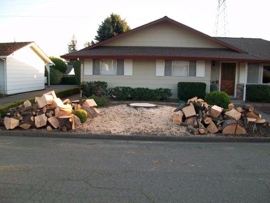 Tree removed, wood bucked up and stump to be ground.