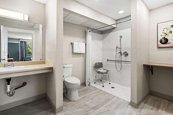 Guest room bath (accessible)