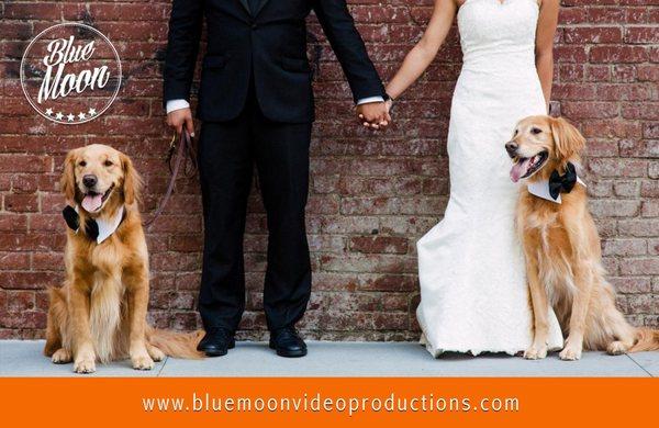 Blue Moon Video Productions