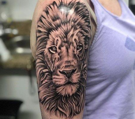 Beautiful lion.