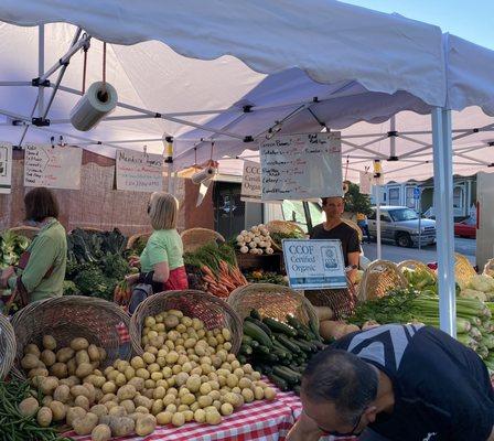 Organic veggies and fruits