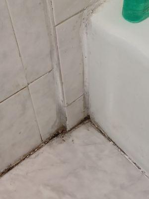 Bathroom floor