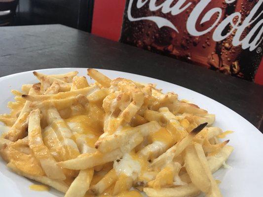 Amazing cheese fries!