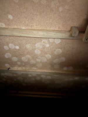 Mold in the new dresser and it smells like a musty gym!