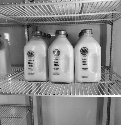 Certified Grade A Farm Fresh All Natural Raw Milk - Half Gallon