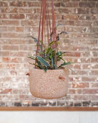 Hanging cork planter by Melanie Abrantes.