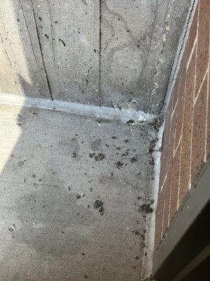 Right by an entry door. Not cleaned up prior to the winter and more accumulation afterwards.