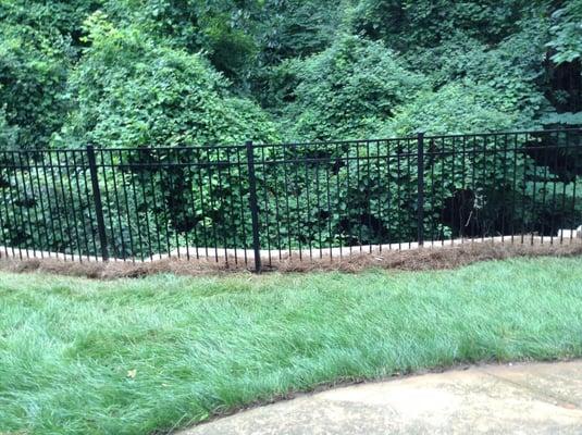 Sod & Fencing