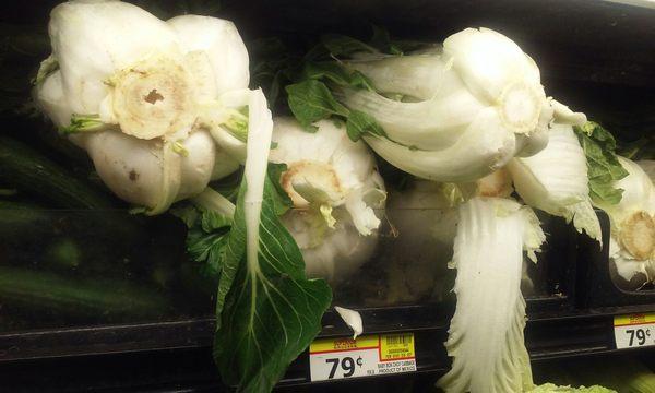 Another example of the dismal display of produce offered at the Huntington Park Superior store.