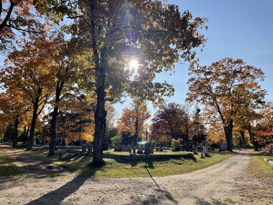 Evergreen Cemetery, Portland Maine, October of 2024.