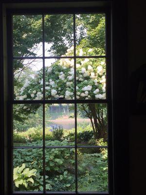 Windows are the picture frames for our outdoor world