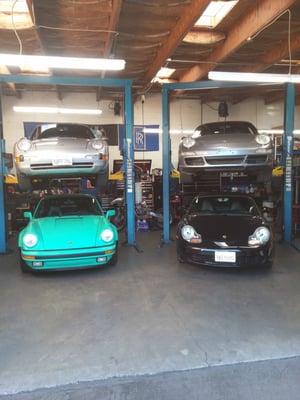 Porsche service and repair in Walnut Creek, California