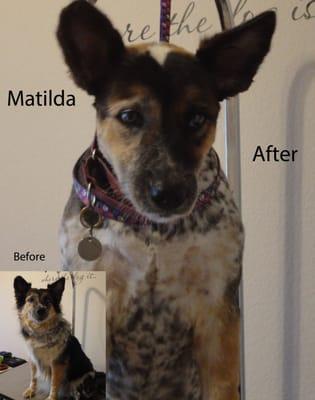 Matilda