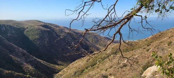 Seas and Mountain forest hike in Malibu