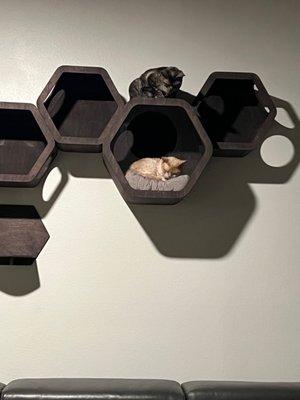 Wall mounted cat tree