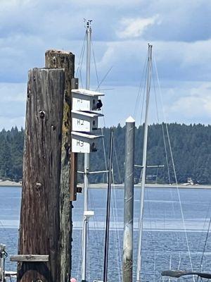 The bird boxes are fun to watch