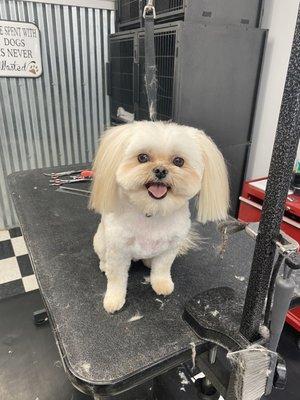 Our handsome little guy is having a great spa day