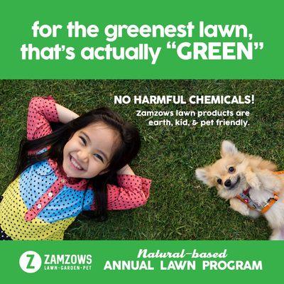 Zamzows Lawn Program is the best way to make your lawn green, without using harmful chemicals.