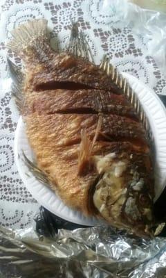 $10 fried mojarra