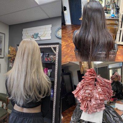 Dark brown to platinum blonde