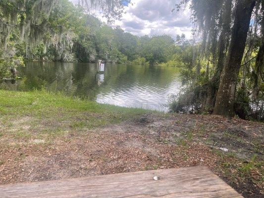 Picnic at the park! Lakefront!