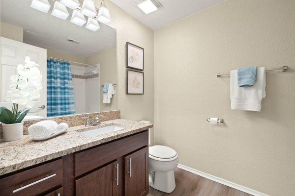 Bathroom at Villas at Oakwell Farms