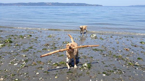 Beachtime is the best