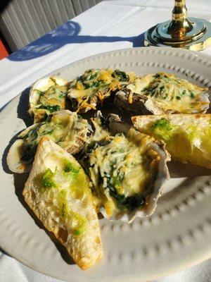 Oyster rockefeller