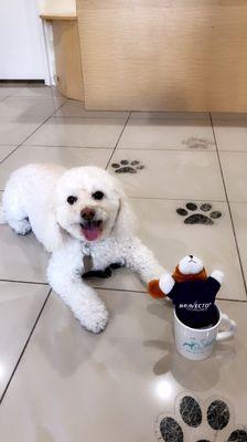 Danny in the waiting area/ lobby with our new complimentary Shatto mug!  :)