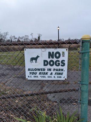 No Dogs Allowed in this Park