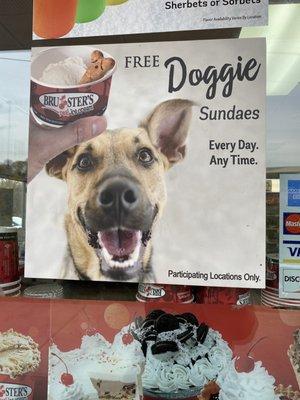 Free Doggie Sundaes