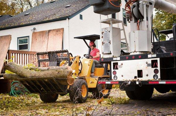 Tree Removal