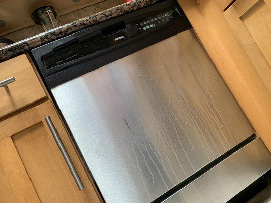 Untouched dishwasher surface.