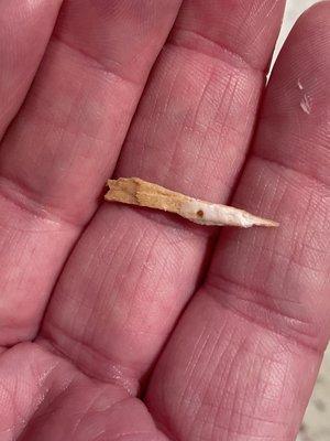 Splintered wood that was found in bagel.